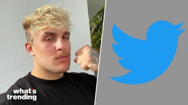 Jake Paul Calls Joe Biden Voters the Problem with America on Twitter | What's Trending Explained